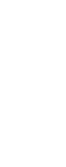 Bilancio