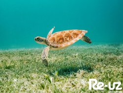 Giornata Mondiale degli Oceani!