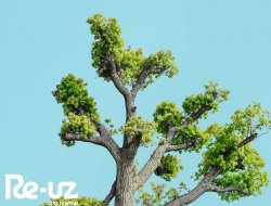 Giornata Mondiale degli Alberi